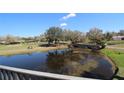 Pond on golf course with golf cart and bridge are seen from balcony at 130 Water Oak Way, Oldsmar, FL 34677
