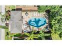 Aerial view of a private pool with surrounding patio and lush landscaping at 450 Harbor Springs Dr, Palm Harbor, FL 34683