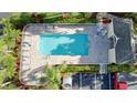 Community swimming pool aerial view with lounge chairs, umbrellas, and lush landscaping at 14 Seagrape Cir, Clearwater, FL 33759