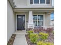 A detailed view of the front porch with beautiful landscaping and a black front door at 34159 Astoria Cir, Wesley Chapel, FL 33545