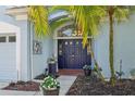 Inviting front entry with a blue front door, adorned with palm trees and pretty flowerpots on either side at 4442 Clairson Ct, Palm Harbor, FL 34685