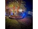 Night view of landscaped backyard featuring palm trees, ambient lighting, and lush green lawn at 16103 4Th E St, Redington Beach, FL 33708