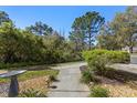 Serene backyard with landscaped greenery, and a concrete path at 10405 Villa View Cir # 10405, Tampa, FL 33647