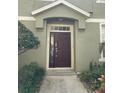 Elegant entryway with a dark brown door and side window framed by lush landscaping at 27901 Pleasure Ride Loop, Wesley Chapel, FL 33544