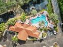 Aerial view of the community pool surrounded by palm trees, a spa, and lounge chairs at 12033 Gandy N Blvd # 175, St Petersburg, FL 33702