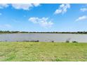Picturesque view of a serene lake surrounded by lush green grass and the distant neighborhood at 5325 Sandy Shell Dr, Apollo Beach, FL 33572
