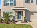Charming front entrance with a blue door, manicured shrubs, and well-maintained lawn at 5456 Logan Cave Ave, Wimauma, FL 33598