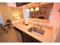 A well-lit kitchenette featuring dark wood cabinets and stainless steel appliances at 8728 Mallard Reserve Dr # 102, Tampa, FL 33614