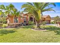 Charming home featuring lush landscaping, a well-maintained lawn, and a grand palm tree in the front yard at 16410 Ivy Lake Dr, Odessa, FL 33556