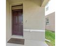 Close up of the front door and entry with dark brown door, stucco walls, and door bell at 16549 Secret Meadow Dr, Odessa, FL 33556