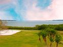 Scenic view of the water with a grassy area and palm trees in the foreground at 406 Shore W Dr, Oldsmar, FL 34677