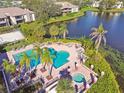 Aerial view of community pool with palm trees, lounge chairs, and spa overlooking the lake at 10263 Gandy N Blvd # 2014, St Petersburg, FL 33702