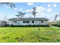 Large backyard featuring a well-maintained lawn at 19230 Lake Allen Rd, Lutz, FL 33558