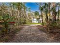 Long gravel driveway leading to a white cottage-style home surrounded by mature trees at 13381 Glory Ln, Brooksville, FL 34614