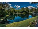 Scenic view of a tranquil pond surrounded by lush greenery and a clear blue sky at 2138 Chianti Pl # 142, Palm Harbor, FL 34683