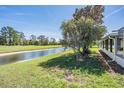 Spacious backyard featuring lush green grass, mature trees, and a tranquil water view at 10237 Collar Dr, San Antonio, FL 33576