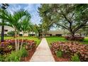 Manicured community landscape and walkway lead to building entrance with palm trees, mature trees, and colorful plants at 36750 Us Highway 19 N # 6-214, Palm Harbor, FL 34684