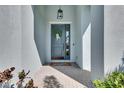 Stylish front door adorned with a decorative wreath and a charming turtle-themed welcome mat at 5318 Wishing Arch Dr, Apollo Beach, FL 33572