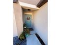 Charming entryway featuring a vibrant blue door with a decorative wreath and potted plants at 4908 Wild Senna Blvd, Tampa, FL 33619