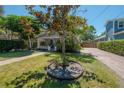 Landscaped front yard featuring a mature tree and brick-paved driveway at 3116 W Wallcraft, Tampa, FL 33611