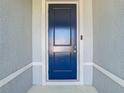 Close up of a modern style front door at 35524 Quartz Lake Dr, Zephyrhills, FL 33541