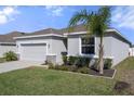Well-kept home with a two-car garage, fresh landscaping, and a beautiful palm tree at 13359 Golden Lime Ave, Spring Hill, FL 34609