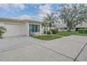 Well-maintained front yard with vibrant green grass and palm tree at 9232 Golf View Dr, New Port Richey, FL 34655