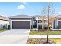 Charming home featuring a two-car garage, landscaped yard, and an inviting entryway at 219 Villa Luna Ln, Lutz, FL 33549