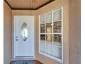 Home exterior showcases a white front door with oval window and a window that provides light into the entry way at 1728 Elk Spring Dr, Brandon, FL 33511