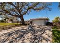 View of a single-story home with large trees and a driveway made of brick pavers at 2240 Harbor View Dr, Dunedin, FL 34698