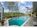 Tranquil pool area enclosed with a screen, featuring lush greenery and serene views at 11815 Marblehead Dr, Tampa, FL 33626