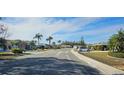 Neighborhood street with well-maintained homes and manicured lawns at 1507 N Lake Dr, Sun City Center, FL 33573