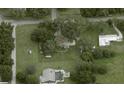 Aerial view of the property showcasing mature trees, a spacious yard, and surrounding neighborhood at 13141 Lewis Gallagher Rd, Dover, FL 33527