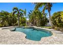 Secluded backyard oasis featuring a private pool surrounded by lush tropical landscaping and mature palm trees at 5909 Canton S St, St Petersburg, FL 33712