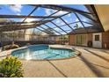 Enclosed pool area with a screened enclosure, providing a private and enjoyable outdoor space at 4212 Grainary Ave, Tampa, FL 33624