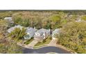 An aerial view showcases the property's placement in a neighborhood surrounded by Florida foliage at 16010 Gatwick Ct, Tampa, FL 33647