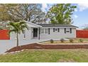 Charming single-story home featuring a gray exterior, well-manicured lawn, and a delightful palm tree in the front yard at 7480 Hobson Ne St, St Petersburg, FL 33702