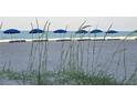 Scenic beach view with sand dunes, sea oats, and blue beach umbrellas facing the ocean at 12924 Gulf Blvd # 110, St Petersburg, FL 33708