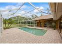 Screened-in pool area featuring a spacious patio, a refreshing pool, and tropical landscaping at 30 Stanton Cir, Oldsmar, FL 34677