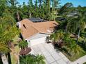 Home showcasing mature palm trees, solar panels, and a pristine front yard landscape at 375 Holly Hill Rd, Oldsmar, FL 34677
