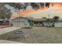 Inviting one-story home featuring a well-maintained lawn and complemented by lush palm trees at 8995 Briarwood Dr, Seminole, FL 33772