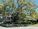 Charming home exterior with mature trees and lush landscaping for ultimate curb appeal at 16209 Belle Meade Blvd, Odessa, FL 33556