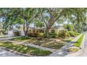 Beautiful home with mature trees, manicured landscaping, and a spacious front yard, offering curb appeal at 6041 16Th Ne Ln, St Petersburg, FL 33703