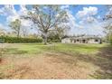 Spacious front yard featuring a large tree, green lawn, and a view of the charming single-story home at 12508 Balm Riverview Rd, Riverview, FL 33579