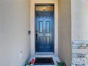 Elegant front door with stone columns and a glass transom window, creating a welcoming entrance at 17749 Garsalaso Cir, Brooksville, FL 34604