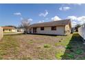 A spacious backyard with a well-maintained lawn and a beautiful, mature tree at 11429 Nest Ct, Port Richey, FL 34668