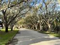 A tree-lined street provides shade and natural beauty to the community at 18 Crescent S Pl, St Petersburg, FL 33711