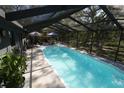 Relaxing screened-in pool area perfect for outdoor entertainment and leisure at 2332 Seward Dr, Sarasota, FL 34234