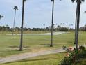 Scenic golf course view with lush green grass, mature palm trees, and serene pond at 6181 Bahia Del Mar Blvd # 112, St Petersburg, FL 33715