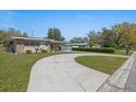 Long driveway leading to a well-manicured front yard with mature trees and landscaping at 8006 N Ola Ave, Tampa, FL 33604